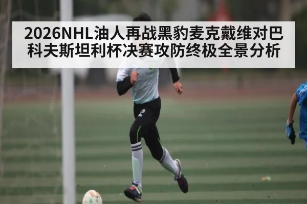 2026NHL油人再战黑豹麦克戴维对巴科夫斯坦利杯决赛攻防终极全景分析