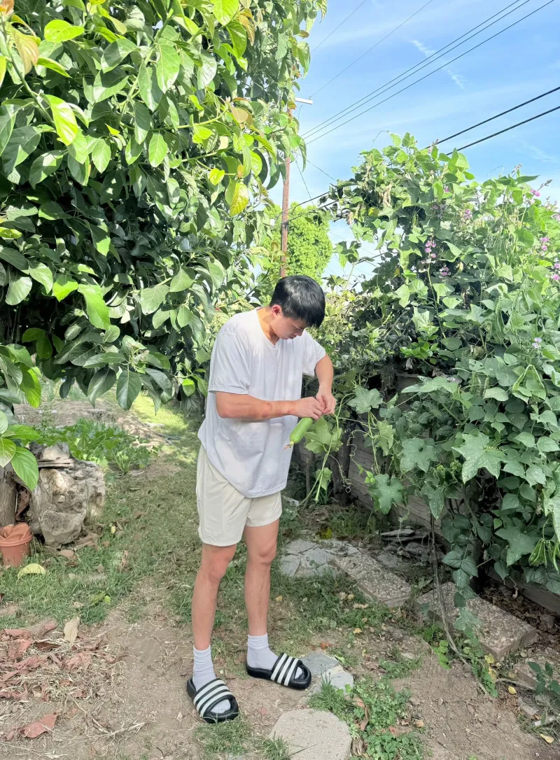 皇冠体育app下载-留洋球员林葳更新社媒分享生活图集并配文：近期